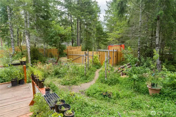 More than a yard, this established food forest features fruit trees, herbs, vegetables, native wildflowers, and thoughtfully cultivated living soil designed to flourish season after season.