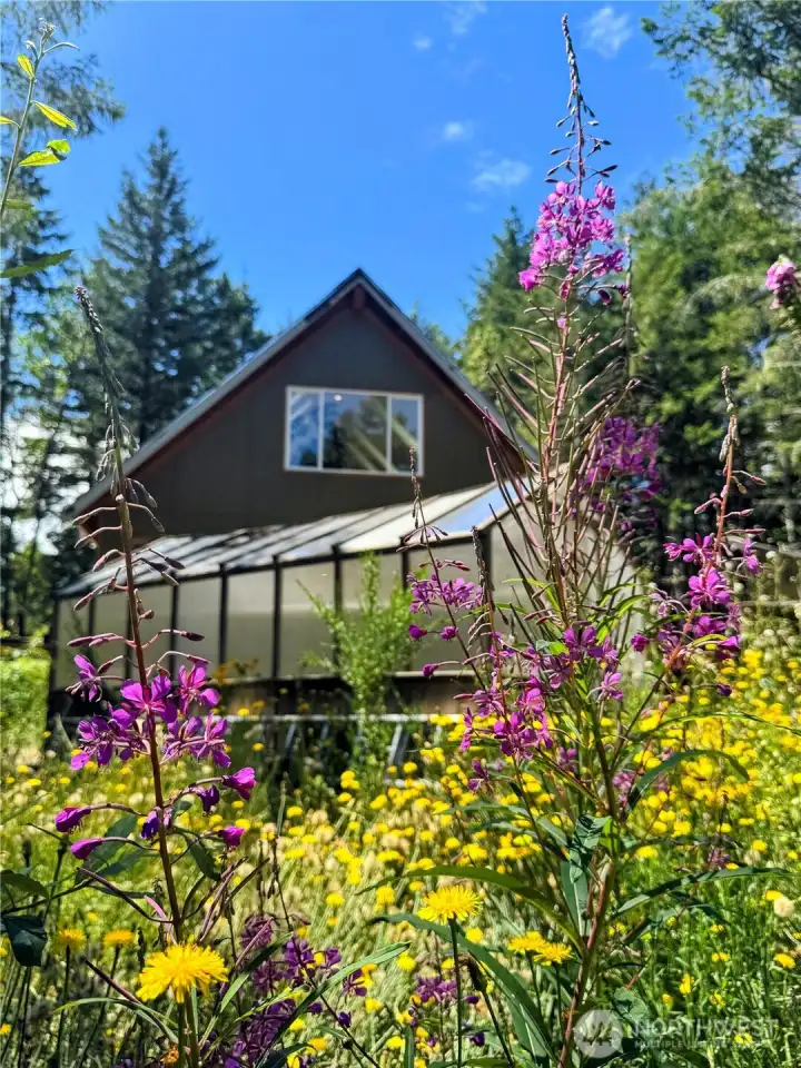 wildflowers bloom throughout the property, attracting pollinators and adding color to every season.