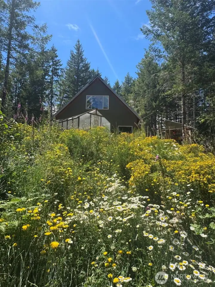 More than landscaping—this is a living, ever-changing outdoor sanctuary.