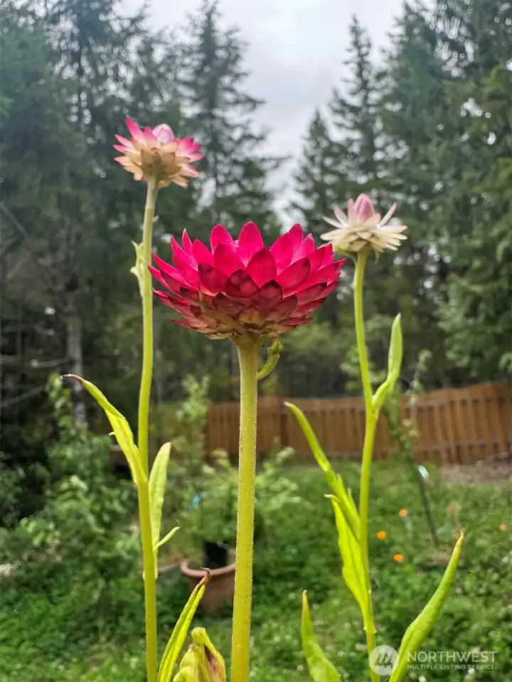 Ever-changing blooms add color and texture throughout the thoughtfully cultivated gardens.