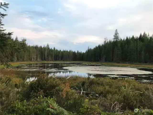 Short walk to No-name Lake.