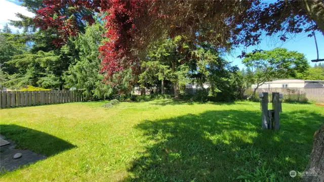 Parklike backyard.