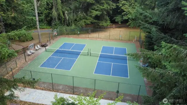 Pickle Ball