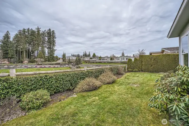 Wonderful view from the entire backyard.