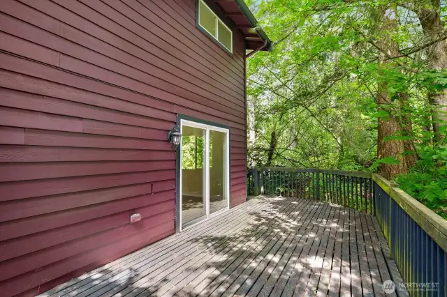 Side deck surrounded by greenery.