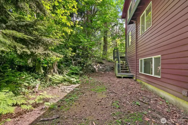 Back yard clearing between house and trees