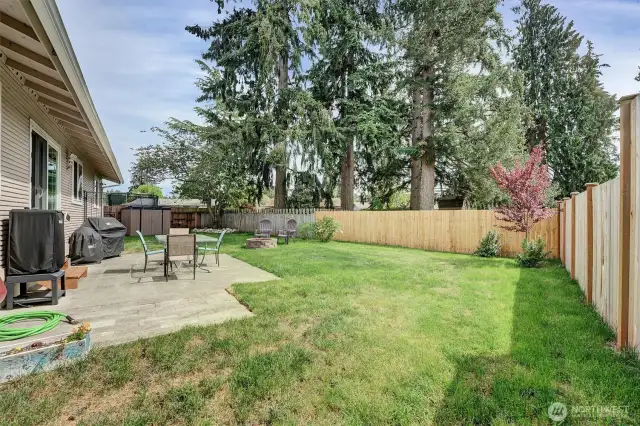 Concrete patio in backyard