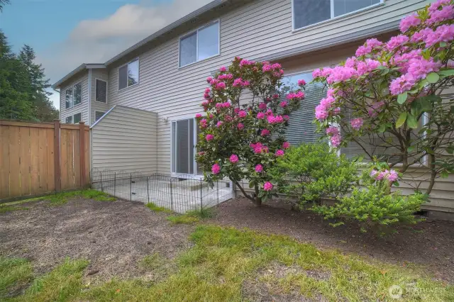 Backyard w/patio of dining.