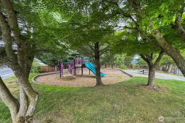Community Park/Playground'