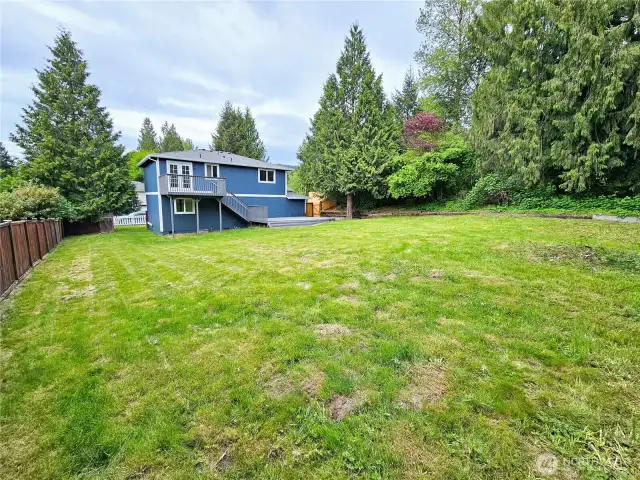 Large yard