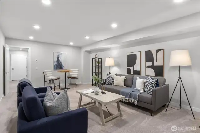 Large basement bonus room