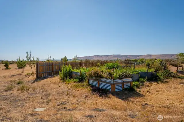 Raised garden boxes
