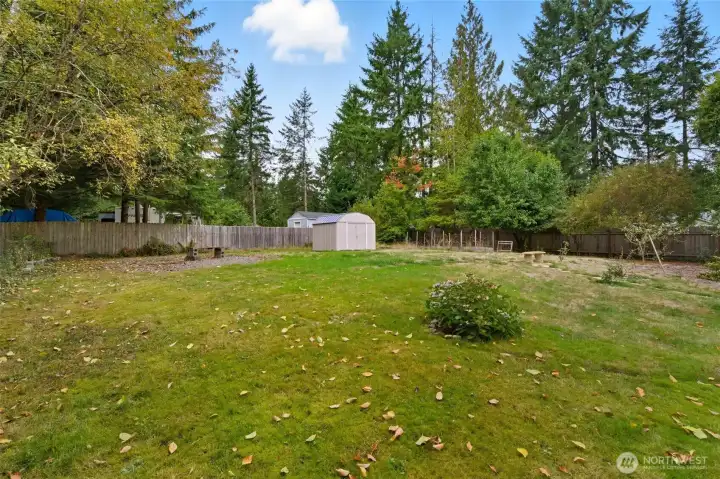 View of huge yard space and shed.