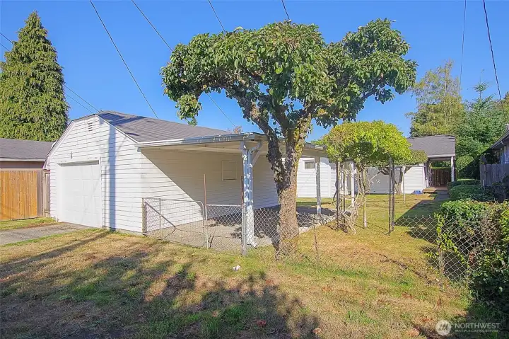 Garage w carport and fruit trees