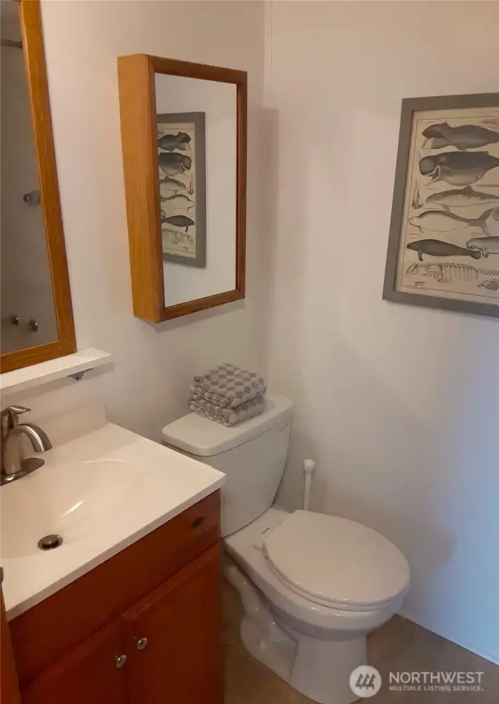 Guest bathroom with tub