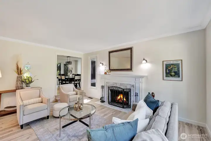 Elegant & light-filled living room