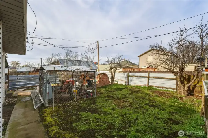 Side yard - 444 ½