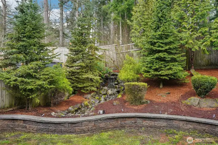 Manicured back yard with water feature and uplighting.