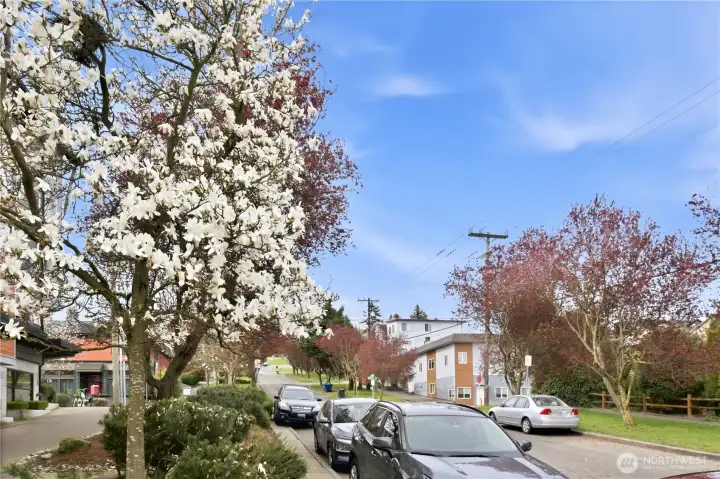 Nestled on a charming, tree-lined street with seasonal blooms