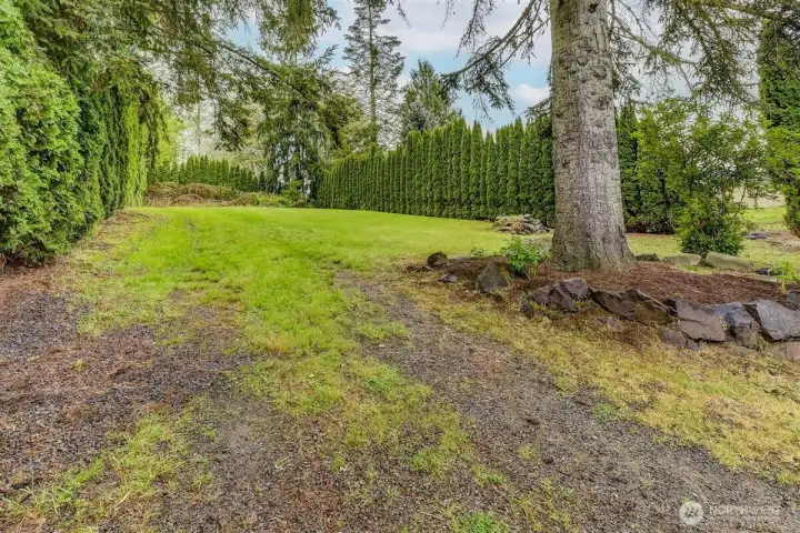 Rear of Property
