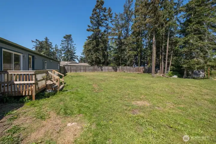 Large backyard. Mostly fenced. The missing panels are at the back by the fence