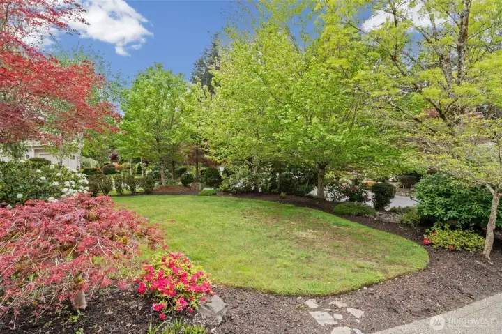 View of Front Yard from Driveway