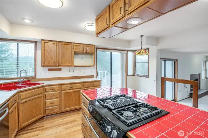 Tons of storage, pull outs in the cabinets