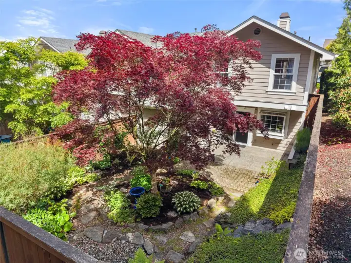 Enjoy this Unique Private Garden Space With Mature Plants to Create Your Home Oasis