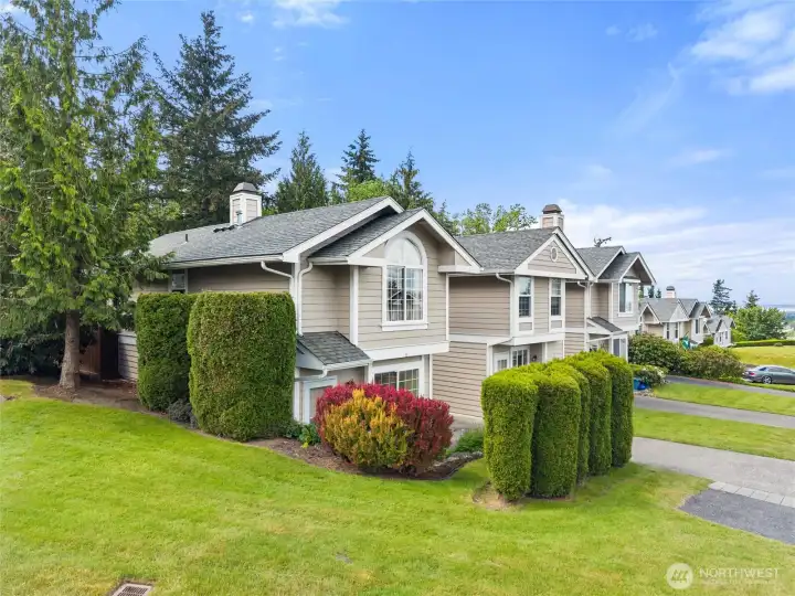 No Neighbors Along Side Plus Natural Privacy Screen With Mature Hedge and Evergreen Tree.