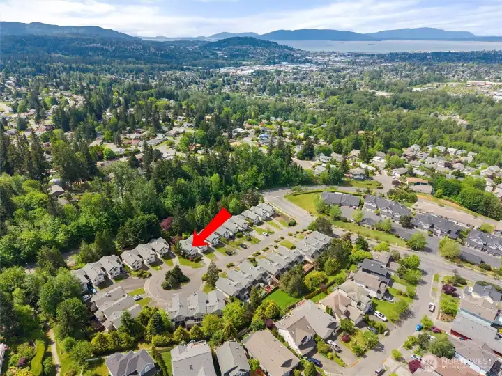 3444 Deer Pointe Court Nestled Alongside Treelined Livability