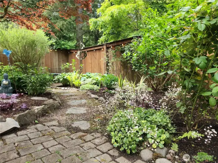 Lovely Flourishing Plants