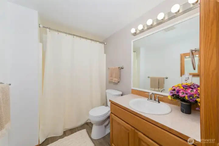 Third full bathroom in lower level.