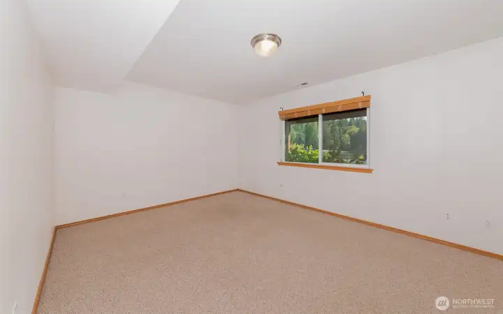 Second Lower level bedroom.