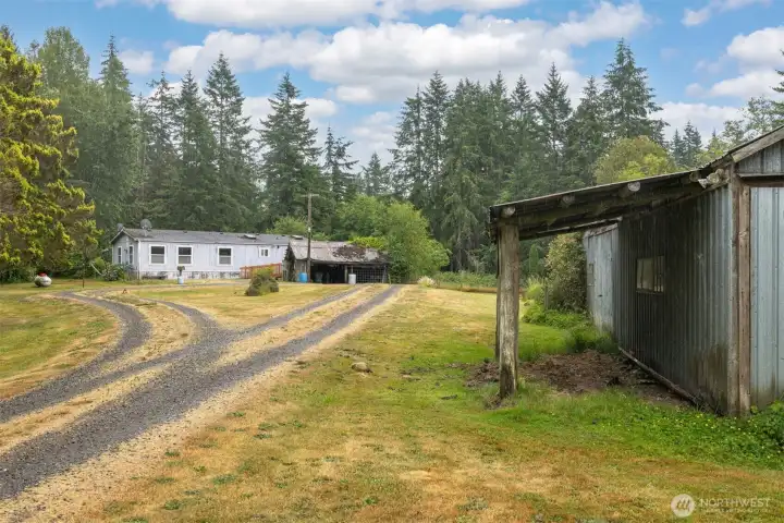 Looking at the home and some of the outbuildings on the acreage surrounded by towering evergreens.