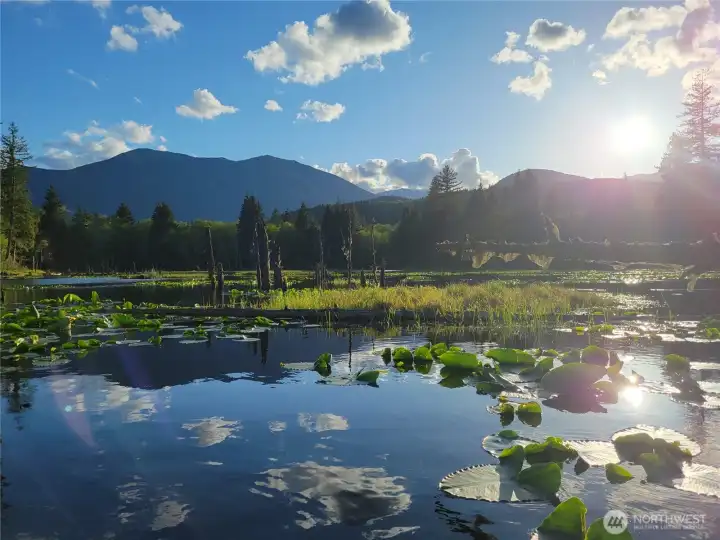 sunny lake and mountain views sunny lake and mountain views