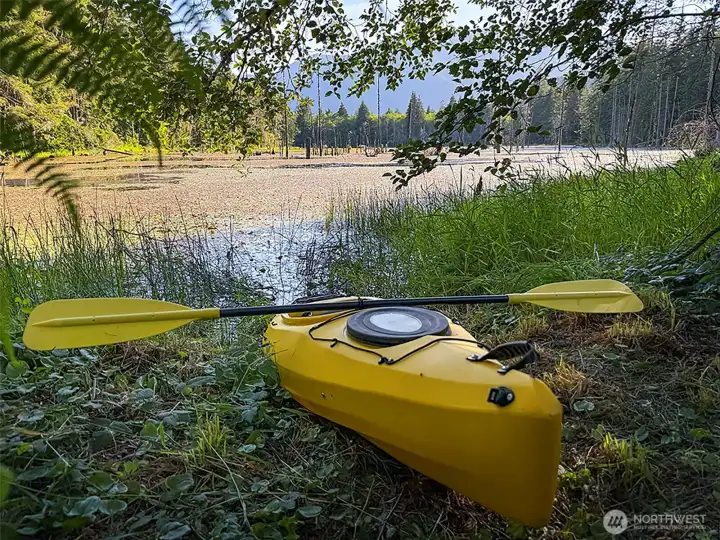 go for a paddle go for a paddle