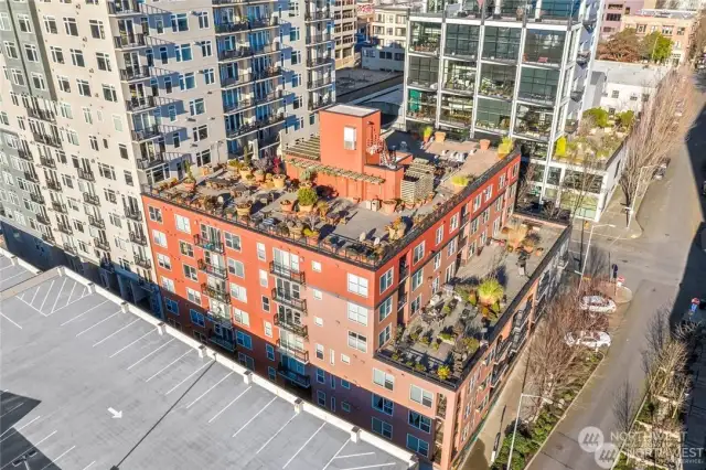 Aerial view of the rooftop deck - it's so spacious!