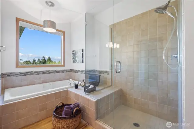 Wonderful views from the large walk in shower!