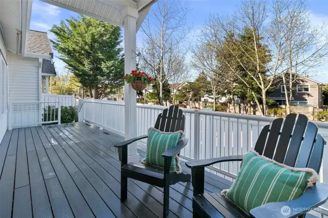 Expansive low maintenance deck