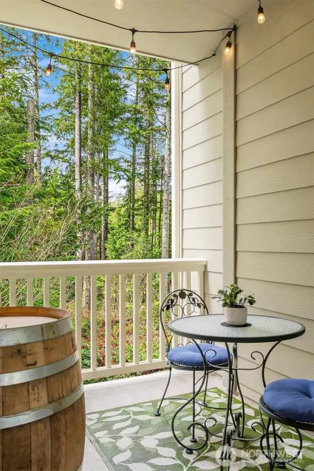 Enjoy your covered patio conveniently located off the main living area.