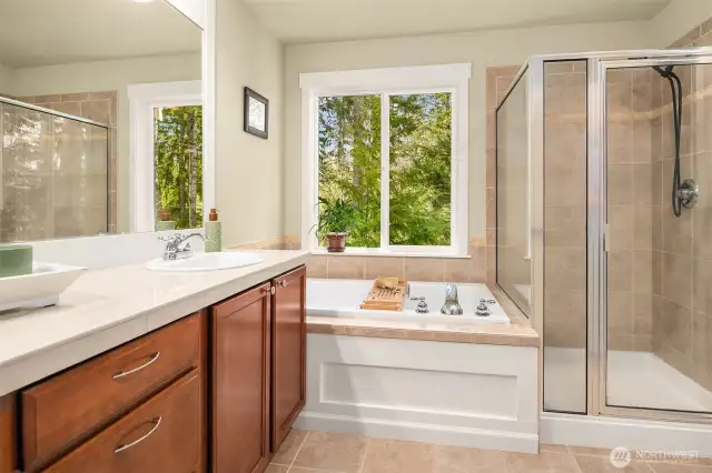 Primary suite with soaking tub and huge walk-in-closet. Note the privacy and natural lighting!