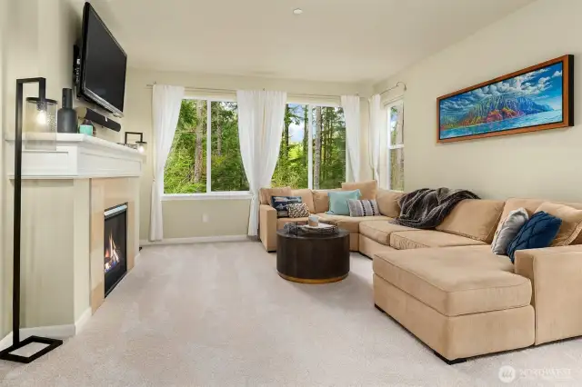 Gas fireplace for those ever changing PNW weather patterns.