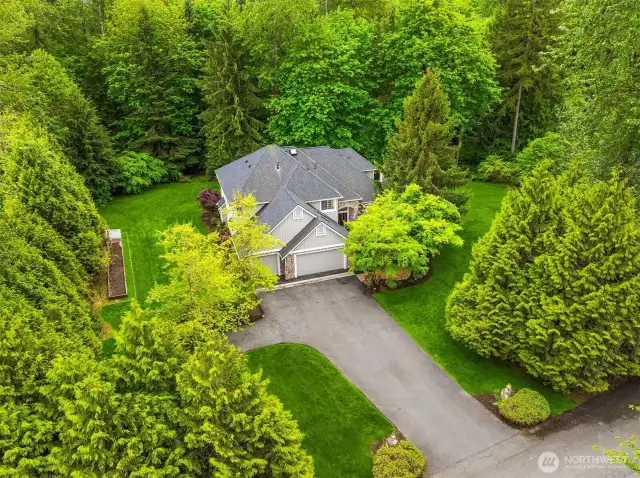 Nestled in Vermont Woods, a 12-home enclave in Woodinville.
