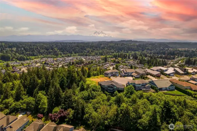 From shifting seasonal colors to dramatic weather patterns over Mount Rainier and Commencement Bay, the view evolves daily. Builders will appreciate the opportunity to frame each window, patio, and elevation around a setting that is both timeless and ever-changing.