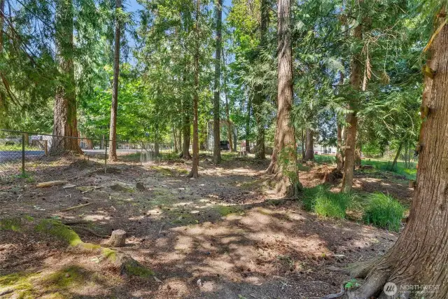 Buffered Privacy on this Generous Quarter of an Acre Fully Fenced Parcel!