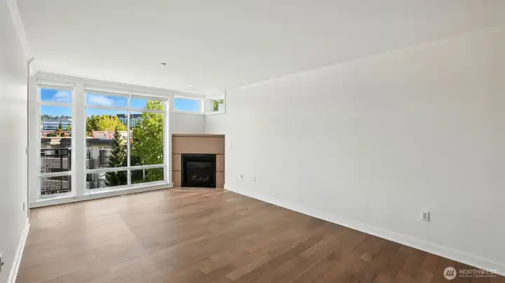 Beautiful Walnut engineered hardwoods.