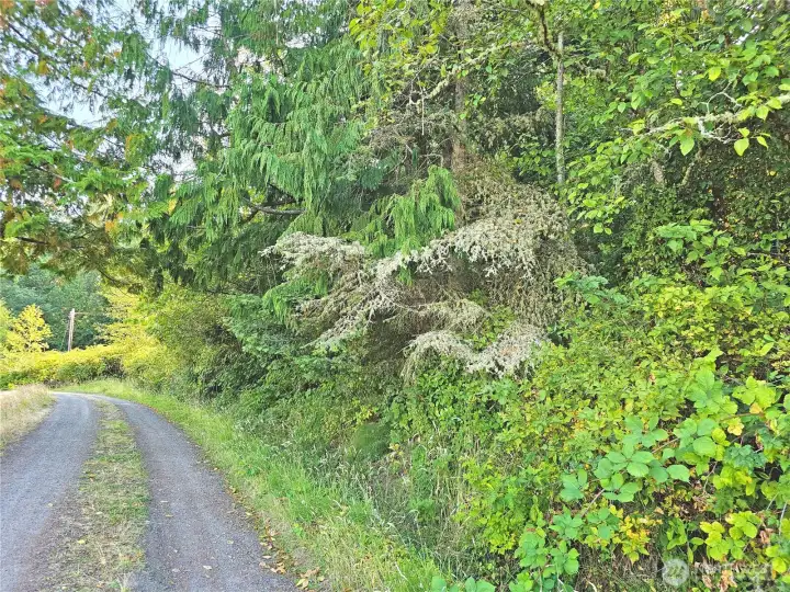 Look south back along the road and towards the property.