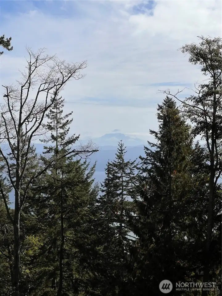 View of Mount Baker