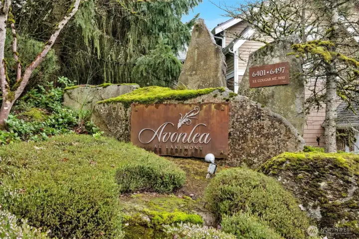 In the heart of cougar mountain and Laemont In the heart of cougar mountain and Laemont