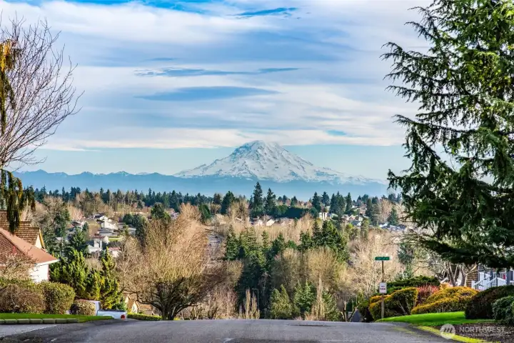 Beautiful Mr. Rainier from the front yard!